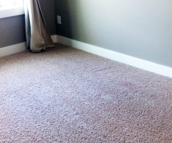 carpet cleaning services near me