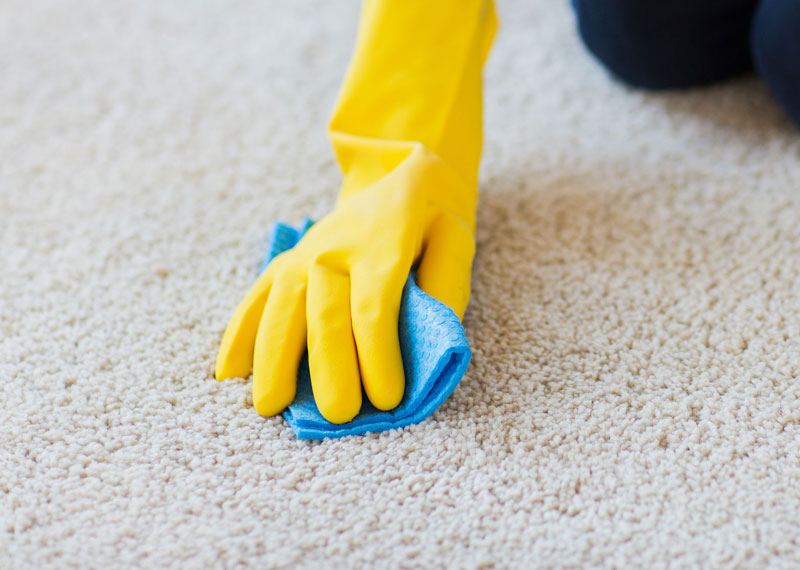 carpet cleaning specialists