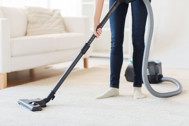 cheap carpet cleaning palmerston north