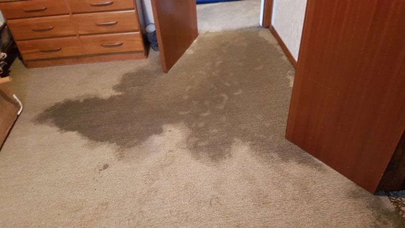 Got A Flood. We're Experts In Cleaning Water Damaged Carpet