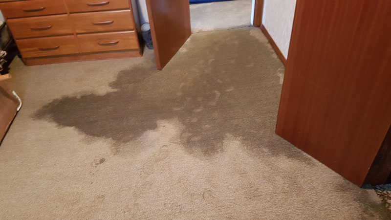 emergency carpet cleaning services